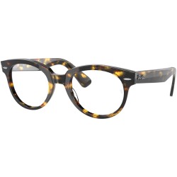 Ray Ban-RB2199V-8116