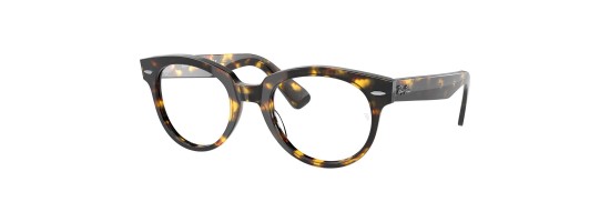 Ray Ban-RB2199V-8116